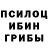 Псилоцибиновые грибы GOLDEN TEACHER Fhay Ahmad
