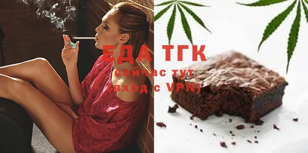 индика Саяногорск