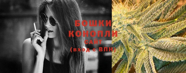 прущие грибы Абинск