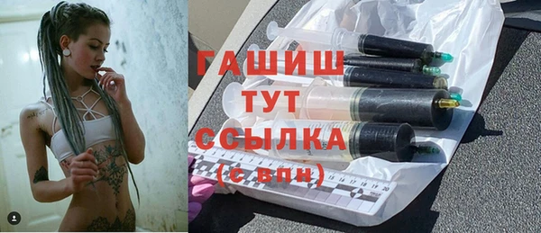 индика Саяногорск