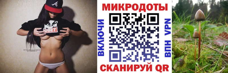 Галлюциногенные грибы Cubensis  Иннополис 